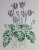 Cyclamen Winter Flower Stencil