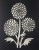 Chrysanthemum Flower Stencil