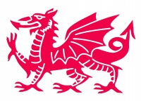 Welsh Dragon Window Sticker